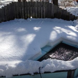koi-pond-winterization-westchester-county-ny