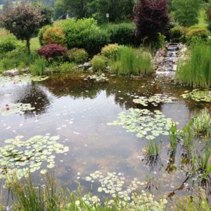 pond-builder-of-ulster-ny