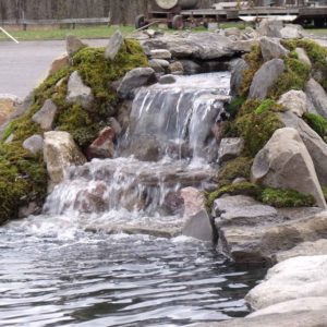 ulster-county-koi-pond-maintenance