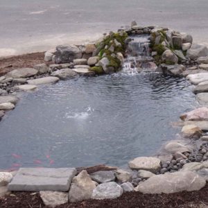 water-garden-pond-maintenance-new-york-ny