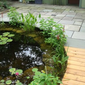 water-gardens-of-new-york