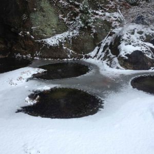 winter-koi-pond-columbia-county-ny