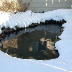winterizing-koi-ponds-new-york